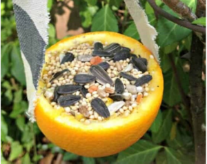 Glenveagh Bird Feeder